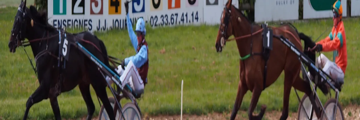 Image Entreprise borne de recharge Argentan