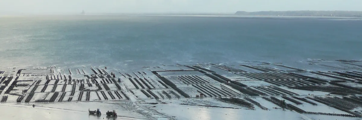 Image Entreprise borne de recharge Cancale