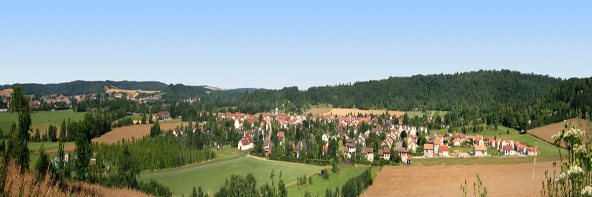 Image Entreprise borne de recharge Commercy