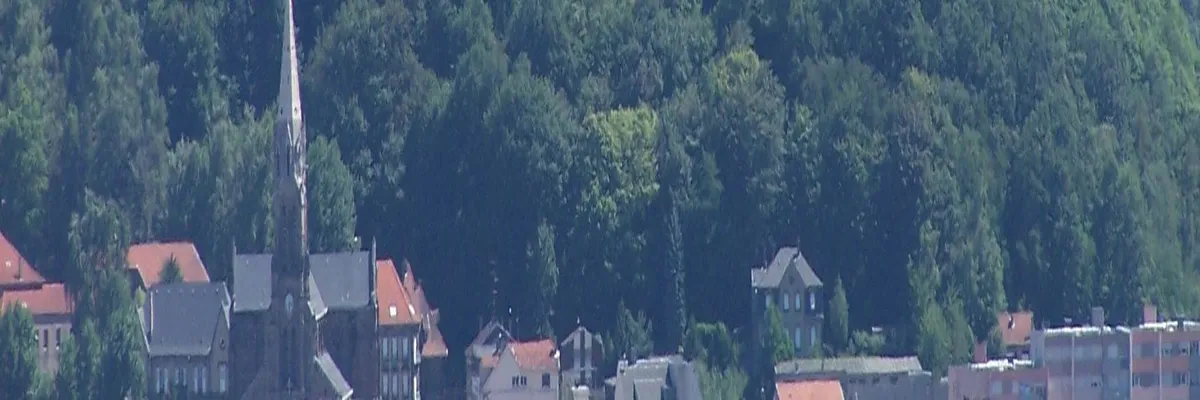 Image Entreprise borne de recharge Forbach