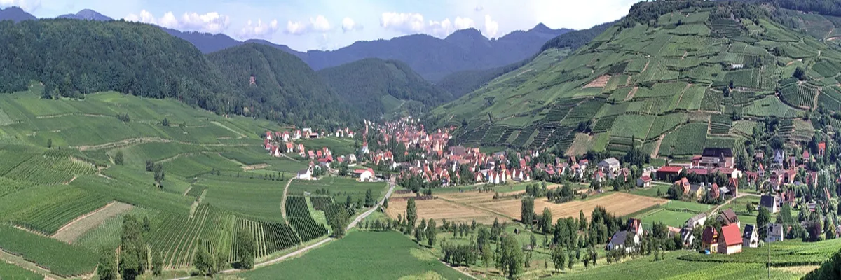 image-entreprise-borne-de-recharge-grand-est.webp Image Entreprise borne de recharge Grand Est