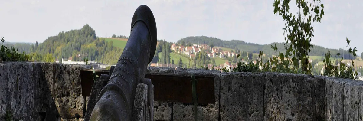 Image Entreprise borne de recharge Gray