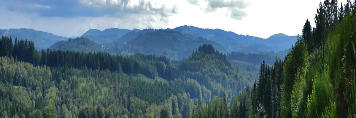 Image Entreprise borne de recharge Haute-Vienne