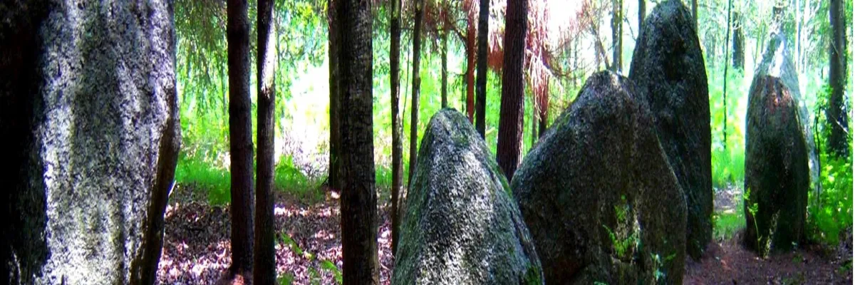 Image Entreprise borne de recharge Languidic