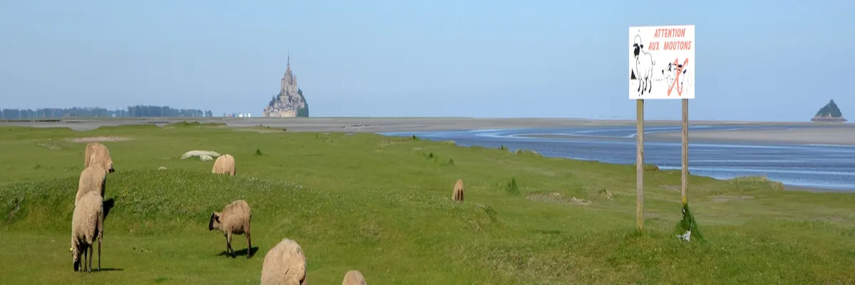 Image Entreprise borne de recharge Manche