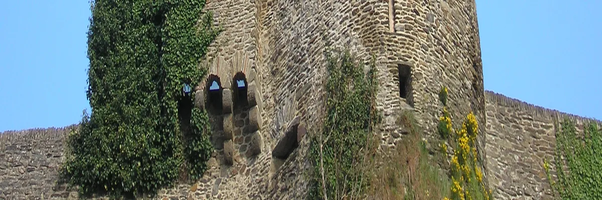 Image Entreprise borne de recharge Saint-Lô