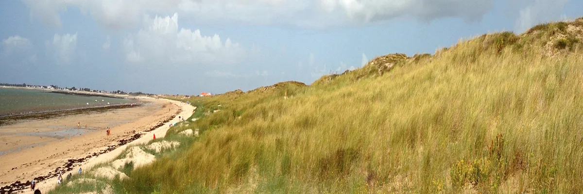 Image Entreprise borne de recharge Vendée