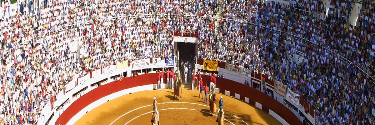 Image Entreprise borne de recharge Vic-Fezensac