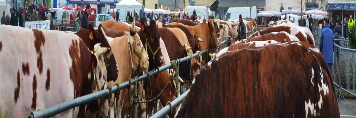 Image Entreprise borne de recharge Yvetot