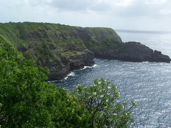 Borne de Recharge Maison Entreprise borne de recharge Guadeloupe