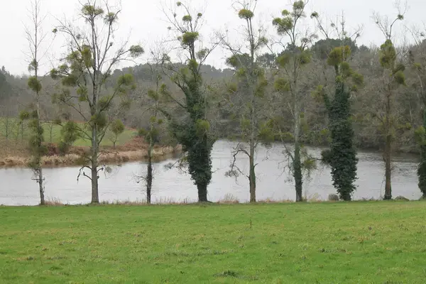 Borne de Recharge Maison Entreprise borne de recharge Muzillac