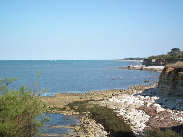 Borne de Recharge Maison Entreprise borne de recharge Nouvelle-Aquitaine