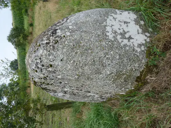 Borne de Recharge Maison Entreprise borne de recharge Plaintel